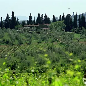  Casa di campagna Fattoria Casa Sola