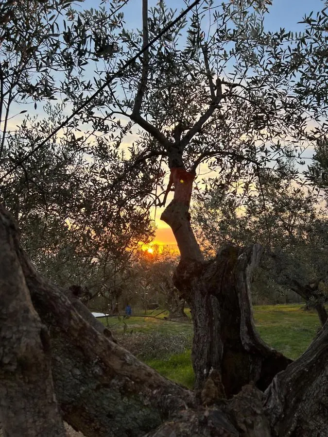 Alloggio per agriturismo Poggio Alla Pieve Relais Calenzano