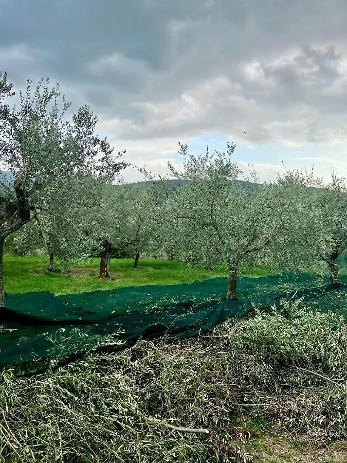 Poggio Alla Pieve Relais Calenzano