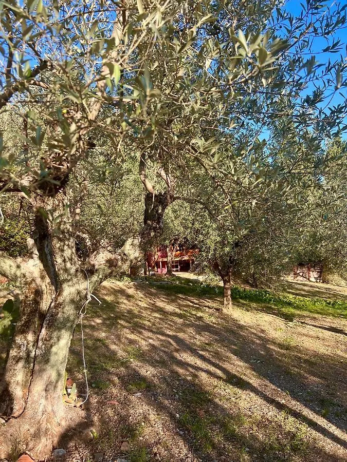 Poggio Alla Pieve Relais Calenzano Alloggio per agriturismo